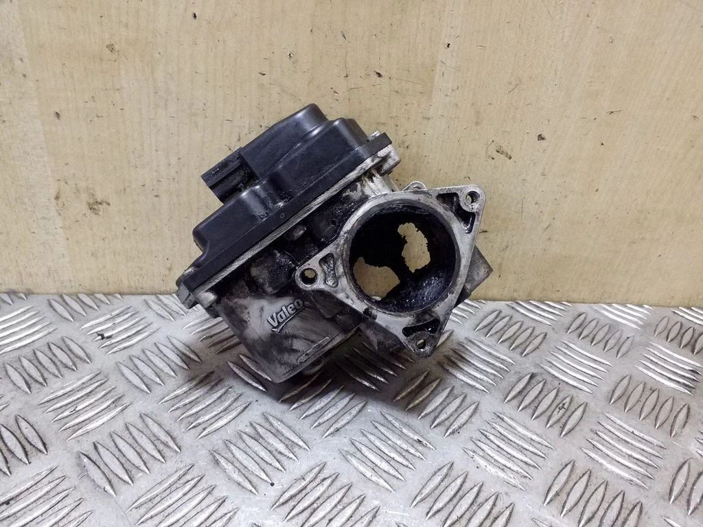 EGR-klapp – Volkswagen Tiguan (2007-2016)
