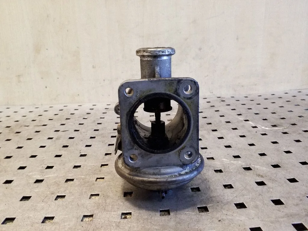 EGR-klapp 7791480