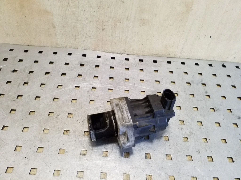 EGR valve 55566062