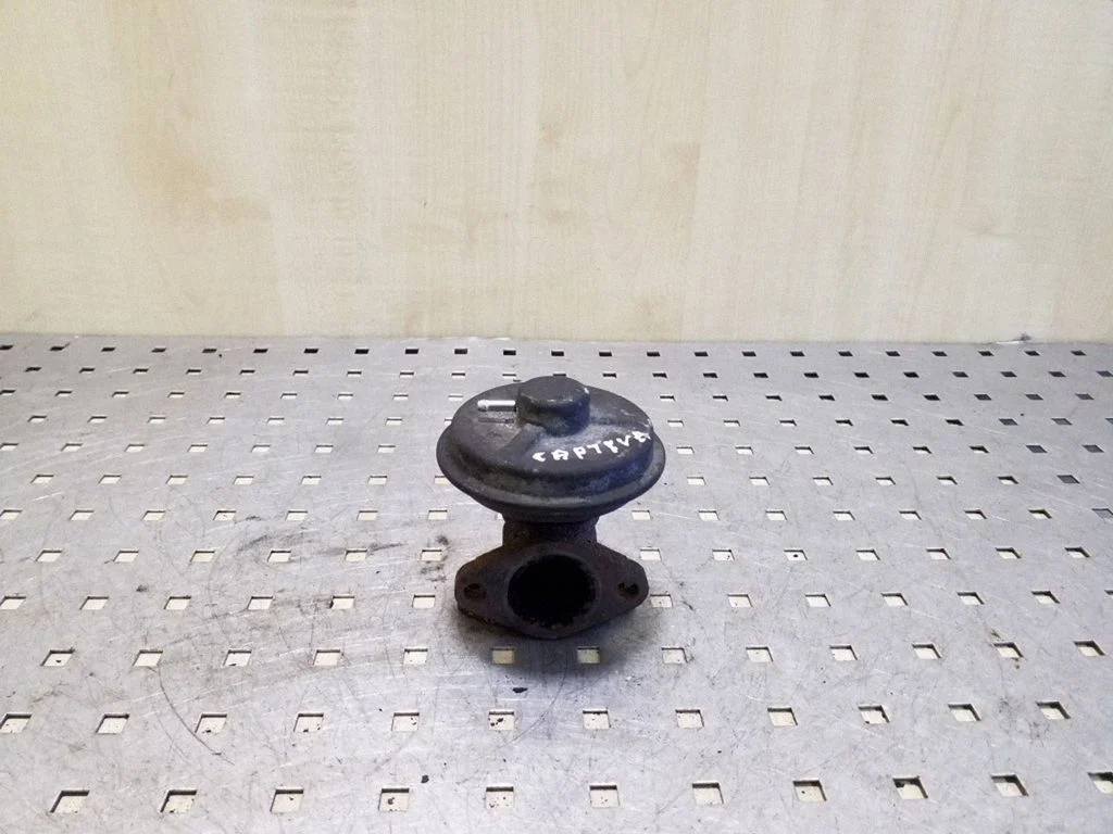 EGR valve