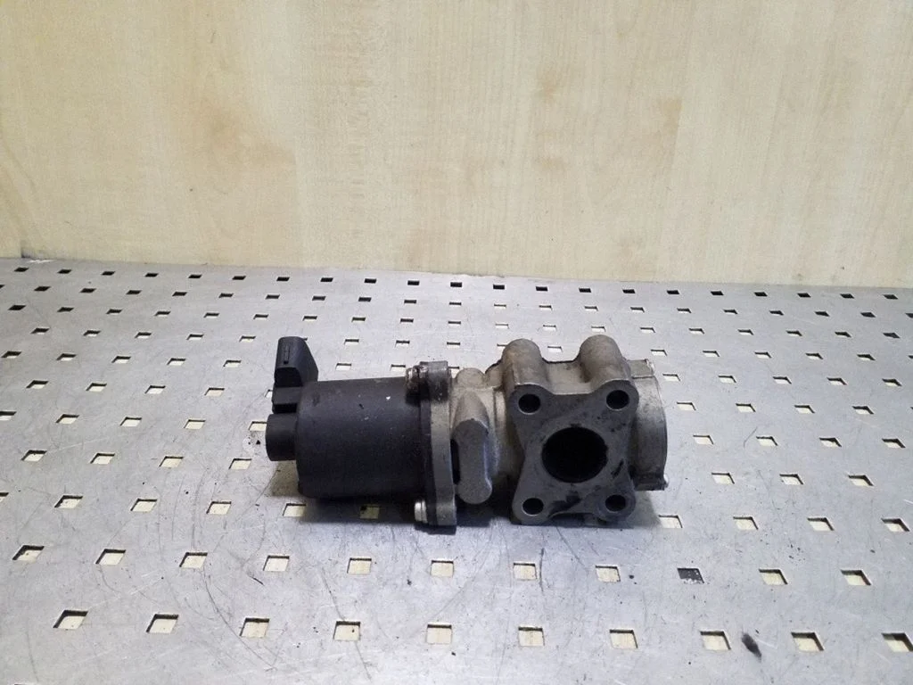 EGR-klapp 256200R020