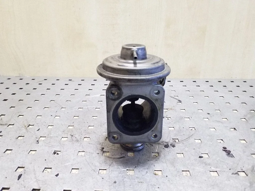 EGR valve 70045000