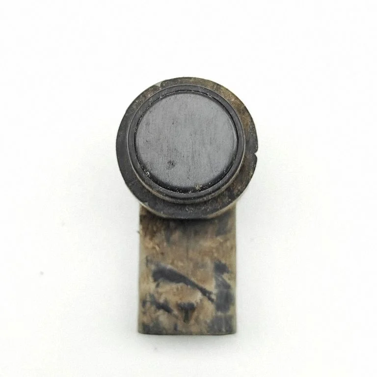 Parkošanās sensors PDC CJ5T15K859EA