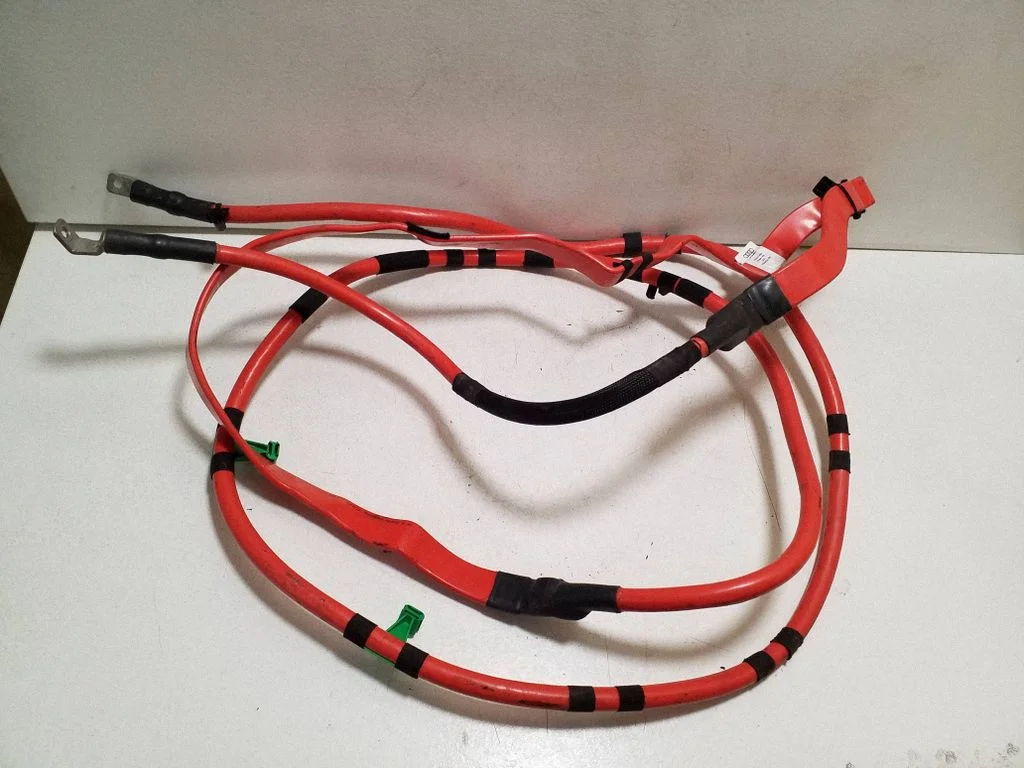 Plusa vads (akumulatora) 8W2971225AA
