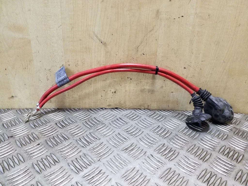 Plusa vads (akumulatora) – BMW X3 E83 (2003-2010)