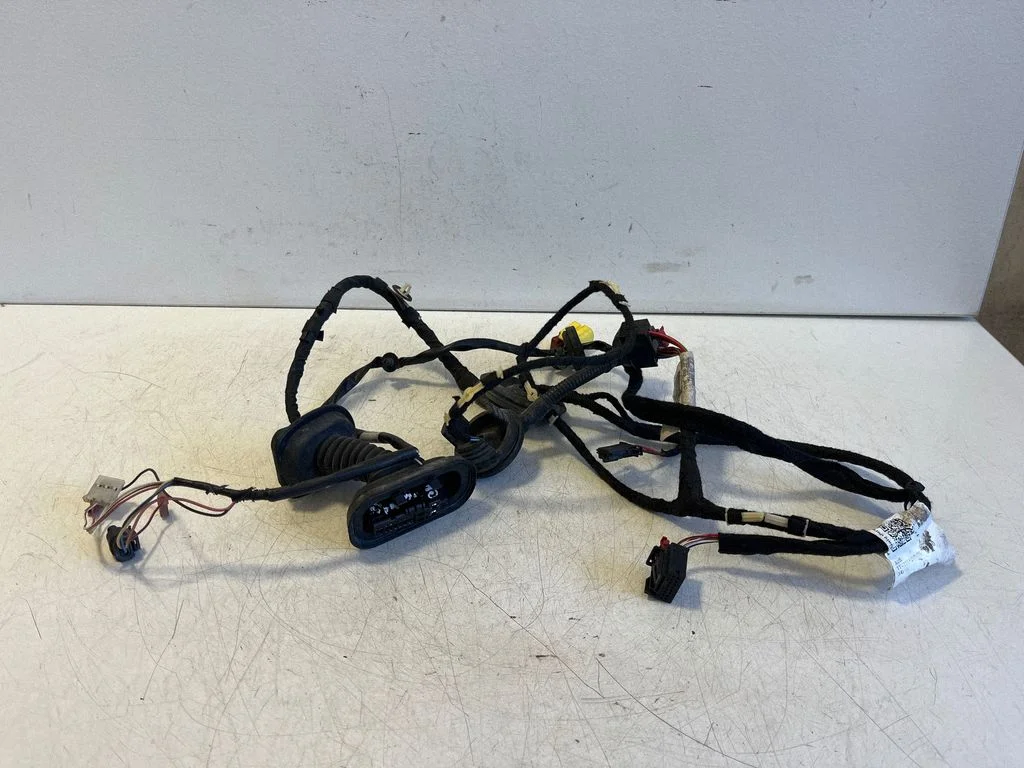 Front door wiring loom 8J0971029AB