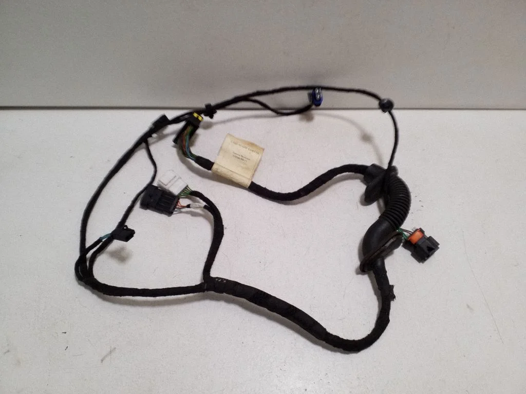 Front door wiring loom 5801767977