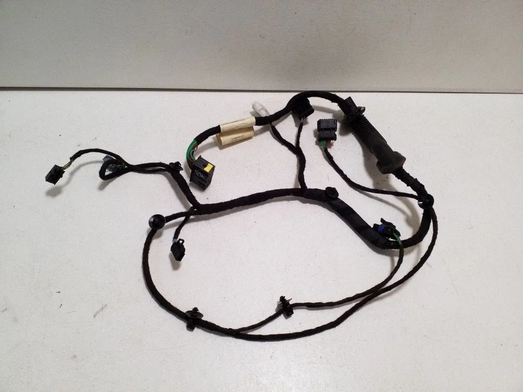 Front door wiring loom 5801767975