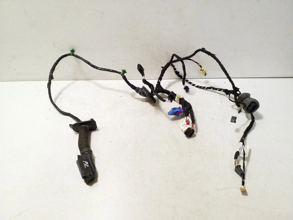 Front door wiring loom 5H4971161BG