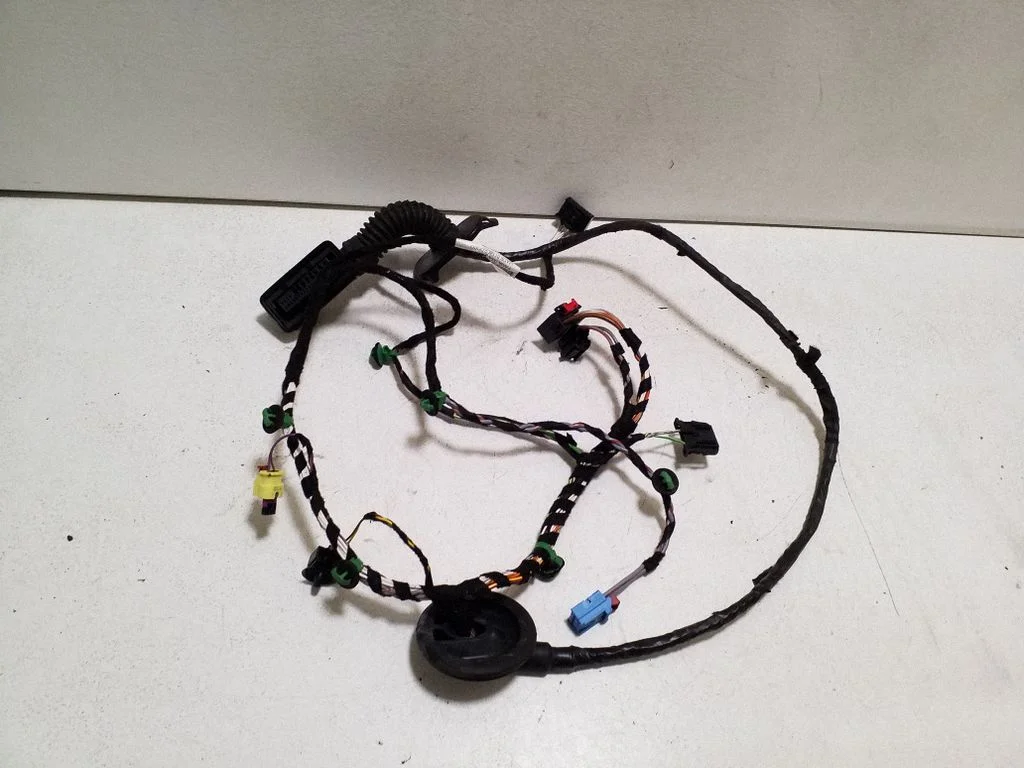 Front door wiring loom 3G2971120M