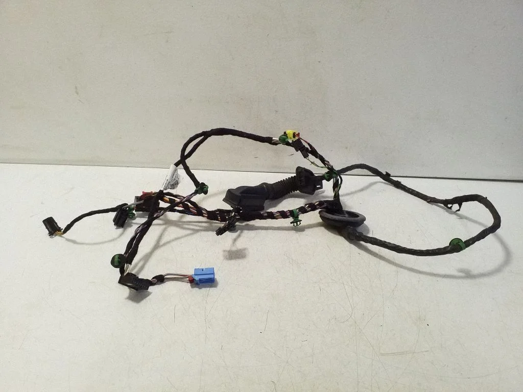 Front door wiring loom 3G2971121M