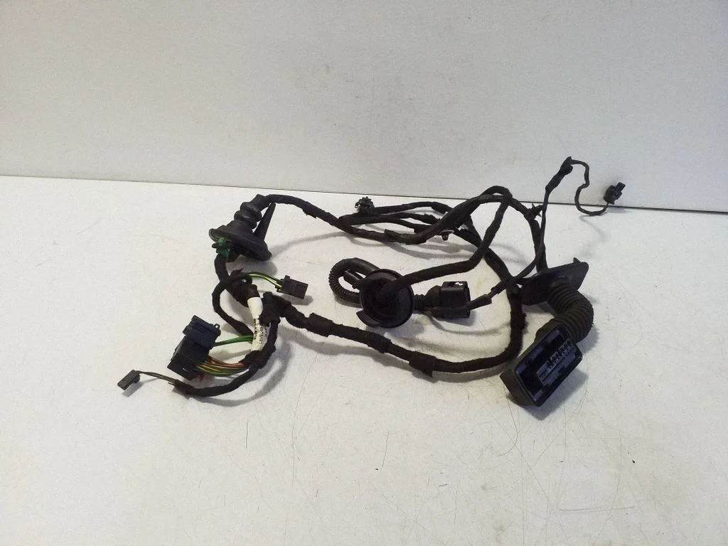 Priekšējo durvju vadu instalācija 8U0971029B