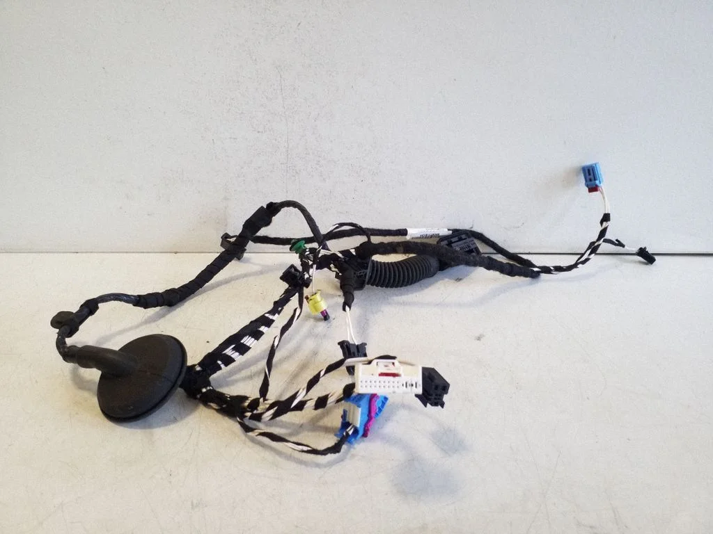 Front door wiring loom 5NC971161DH