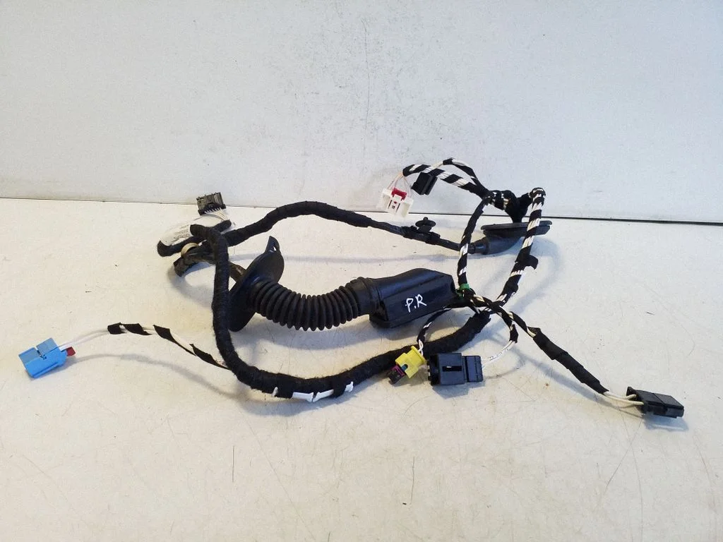 Front door wiring loom 5NC971162BD
