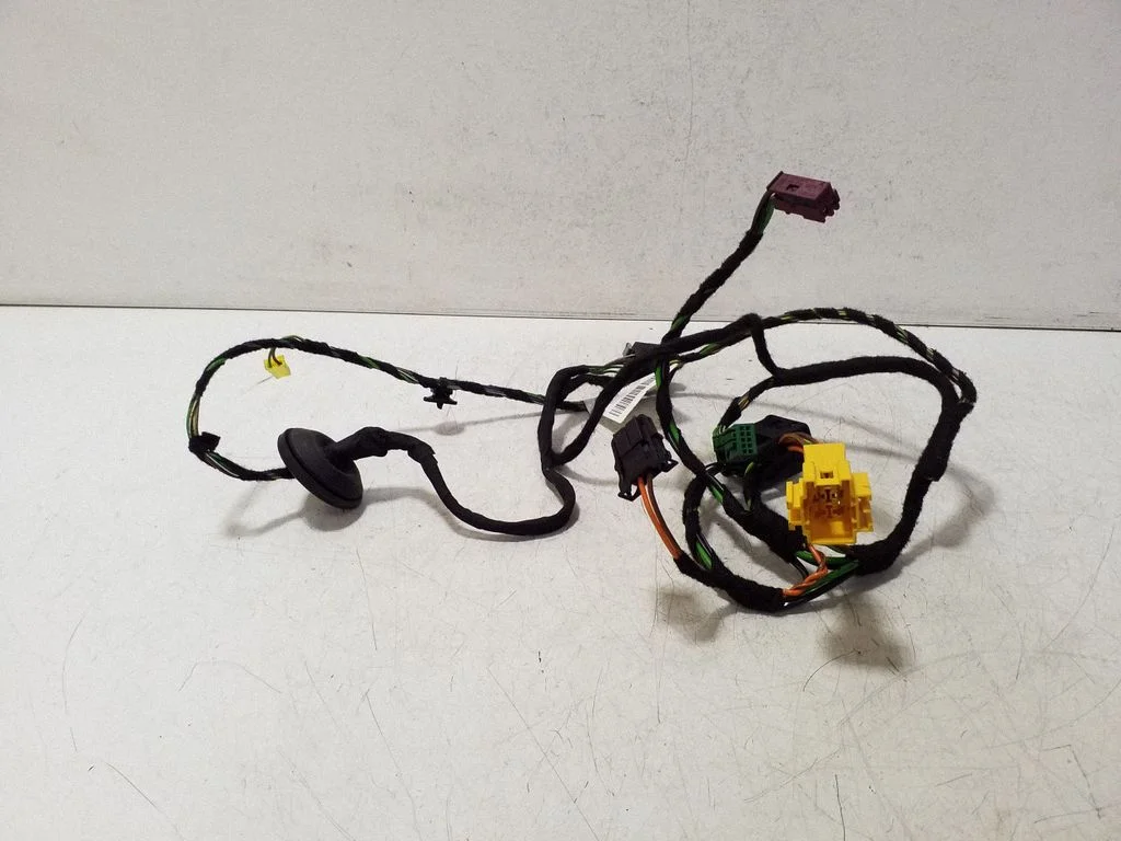 Front door wiring loom A2185401405
