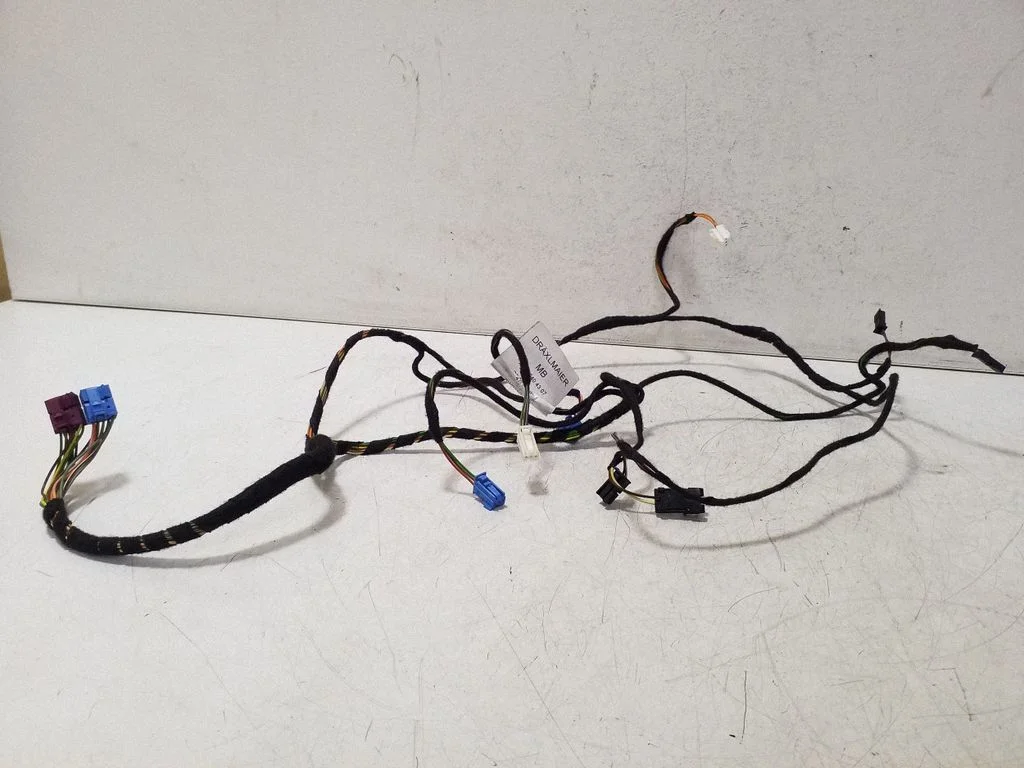 Front door wiring loom A2185404307