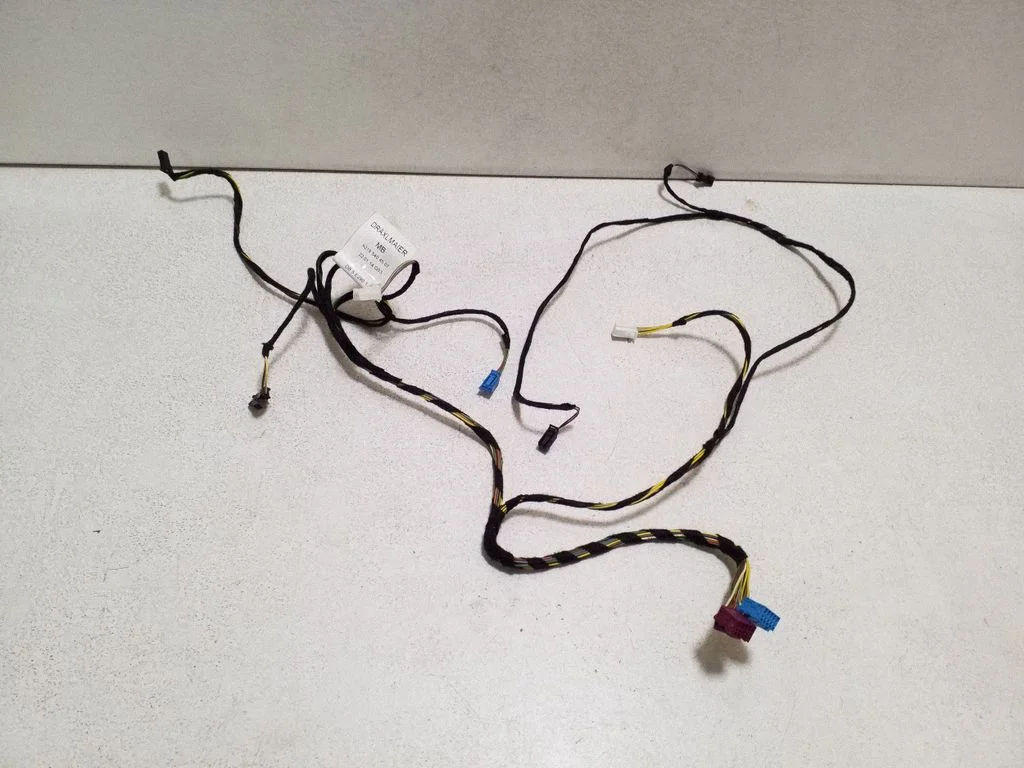 Front door wiring loom A2185404507