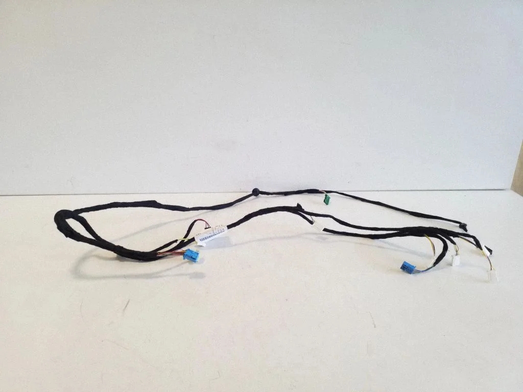 Front door wiring loom A2545408419