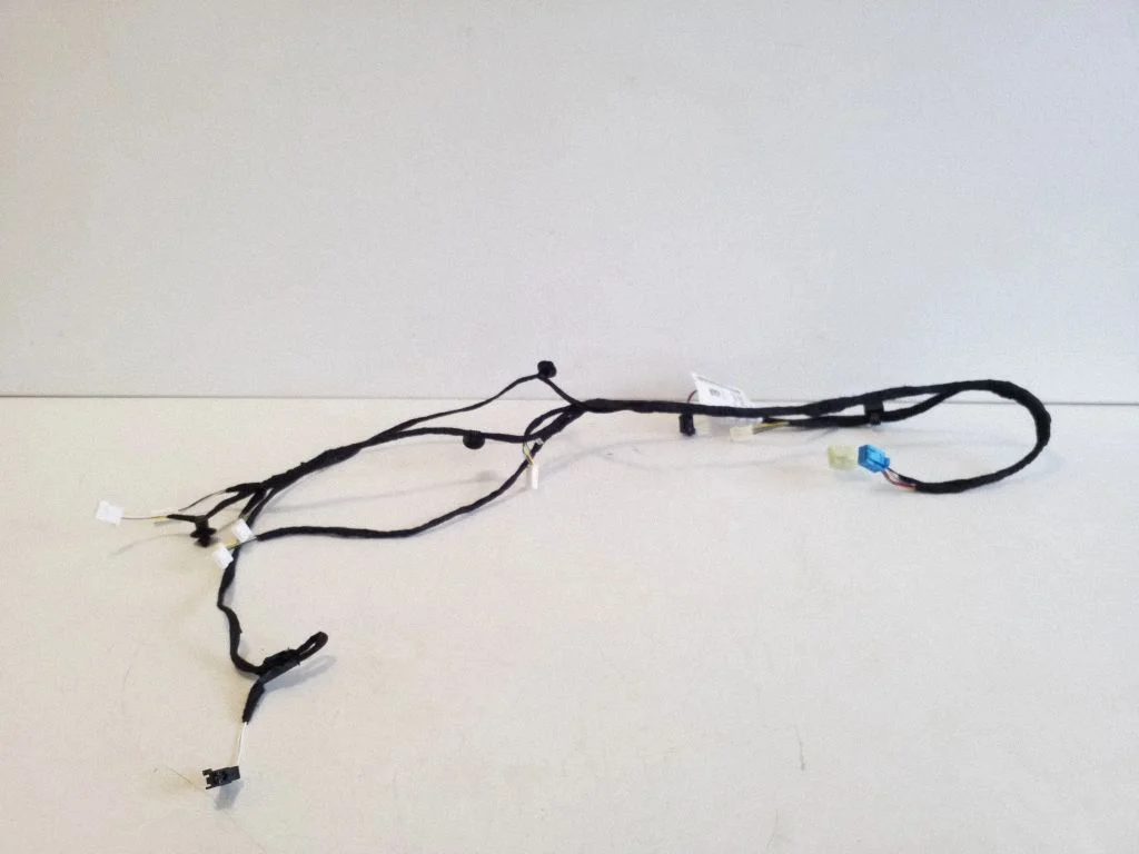 Front door wiring loom A2545400320