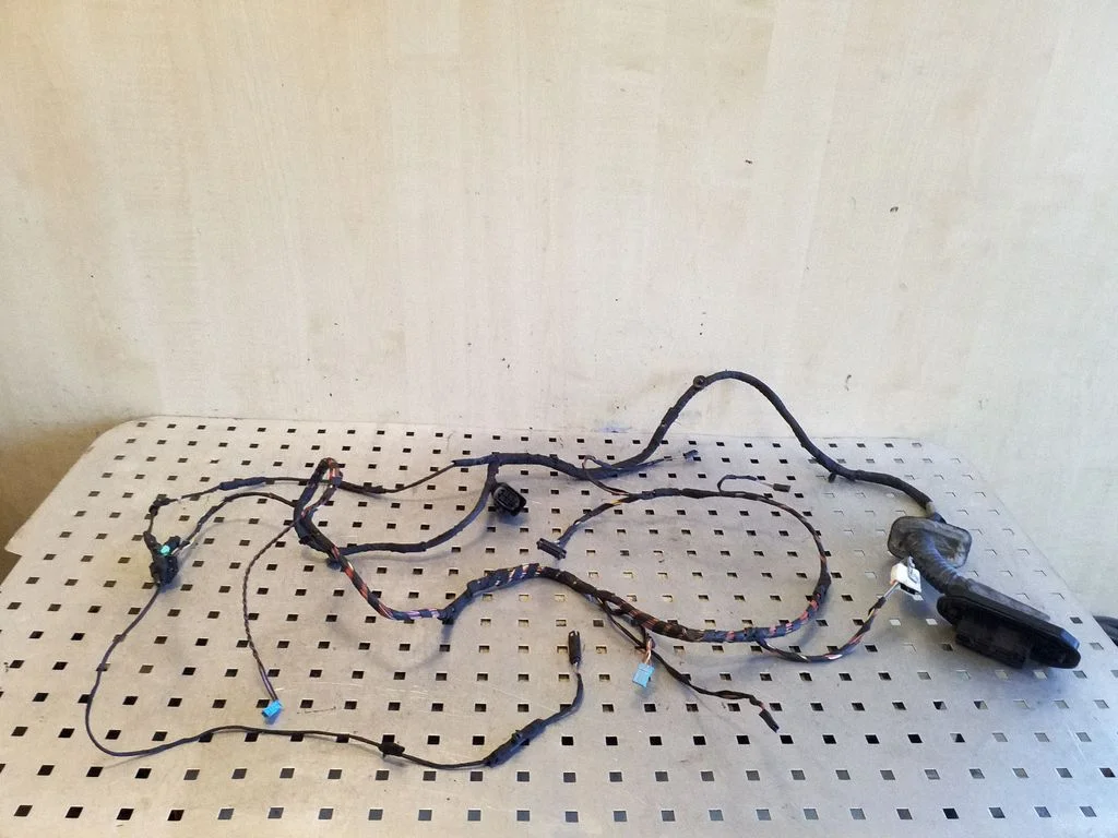 Front door wiring loom 9210105