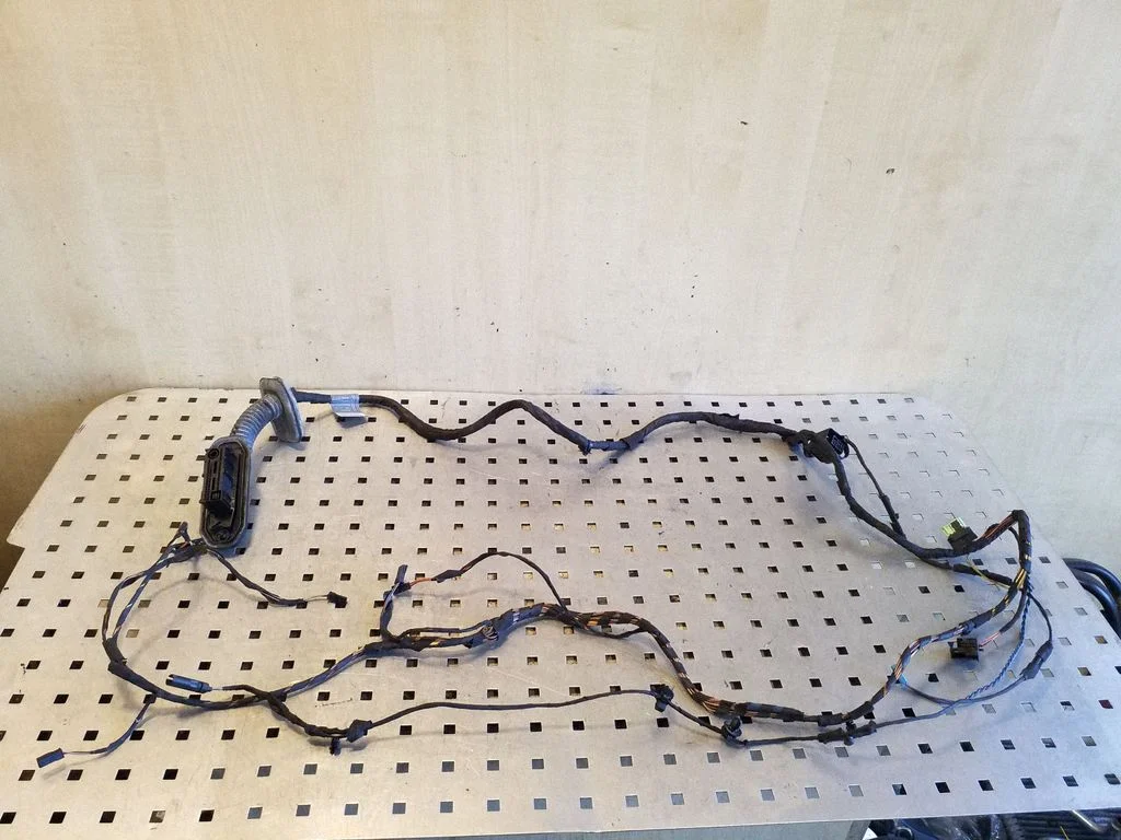 Front door wiring loom 9210120