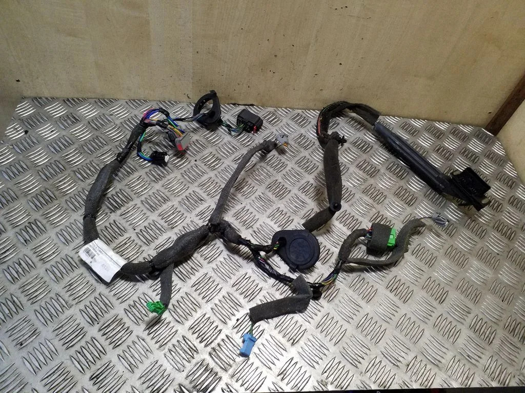 Priekšējo durvju vadu instalācija 30773656
