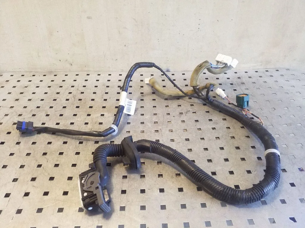 Front door wiring loom 241241KK1A