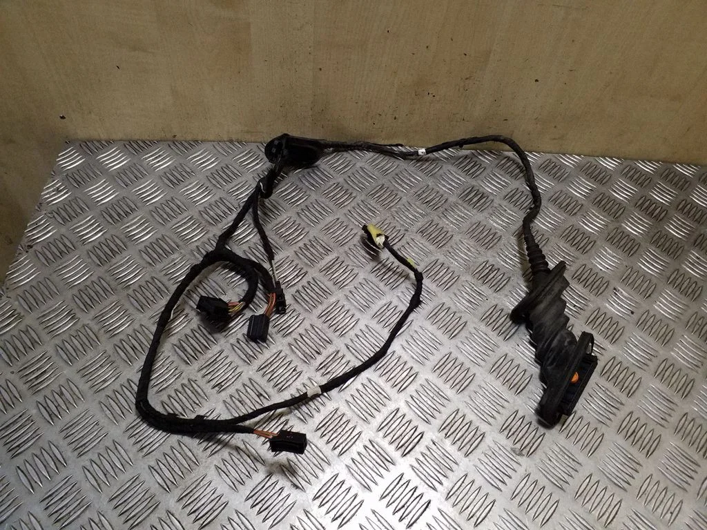 Front door wiring loom – right