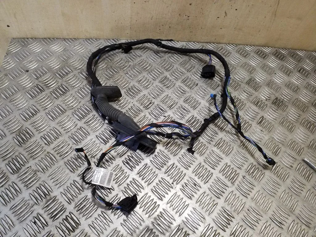 Priekšējo durvju vadu instalācija 9269941