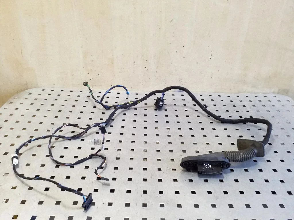 Priekšējo durvju vadu instalācija 9269949