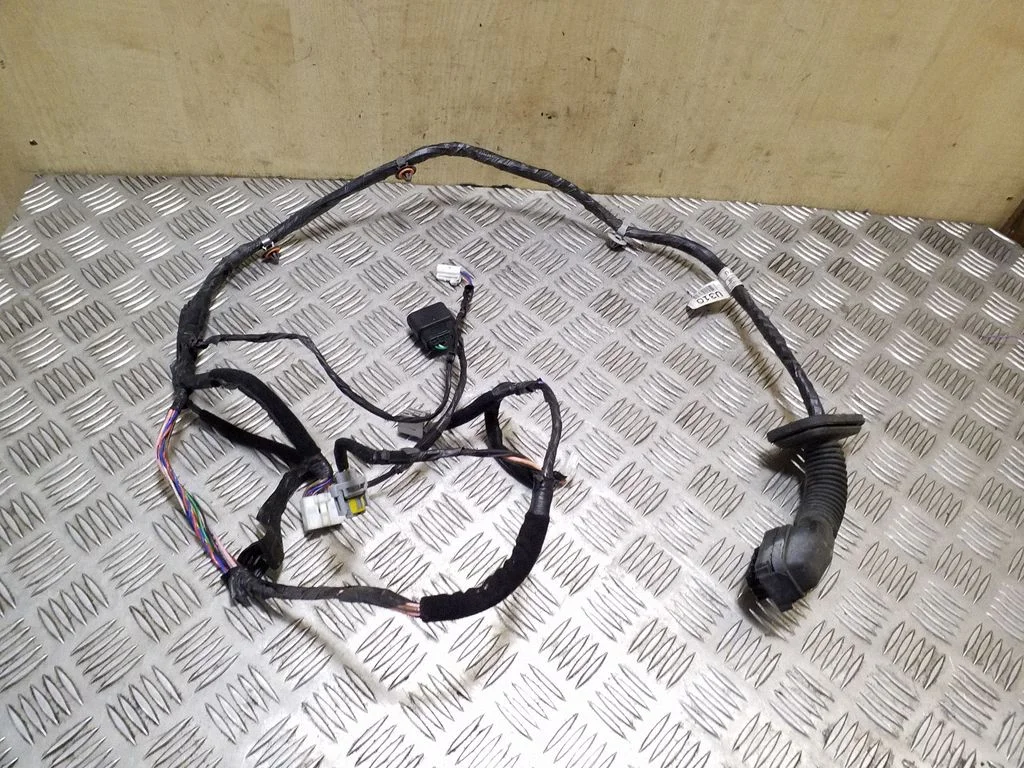 Front door wiring loom 916103U310