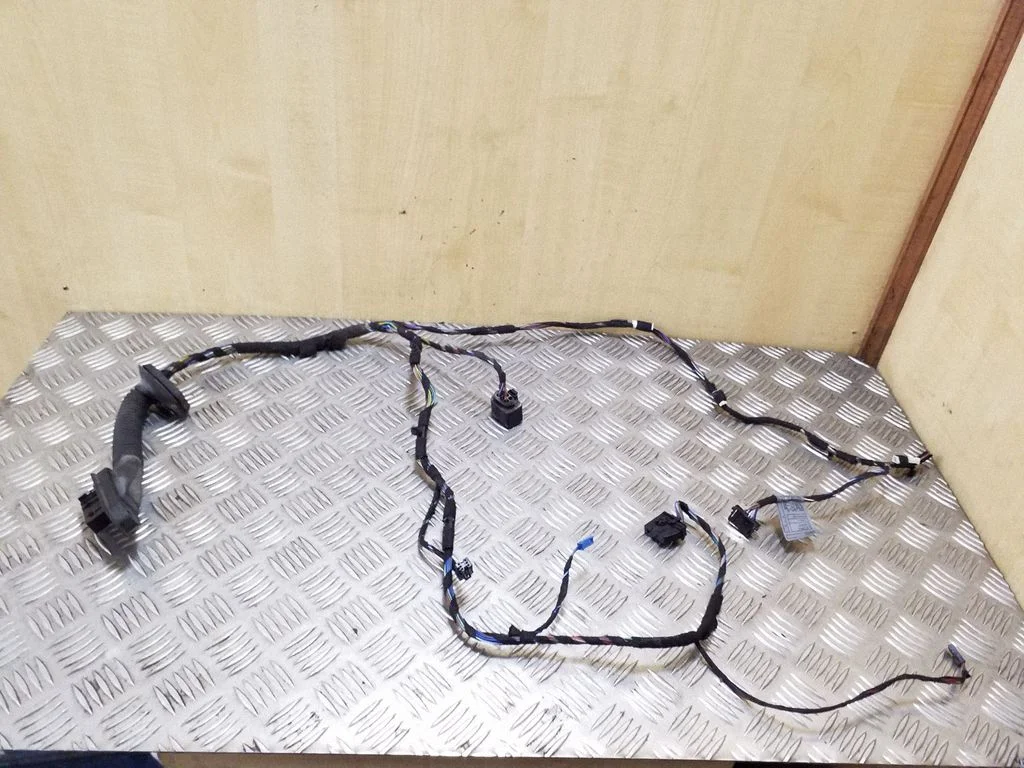 Front door wiring loom 6938211