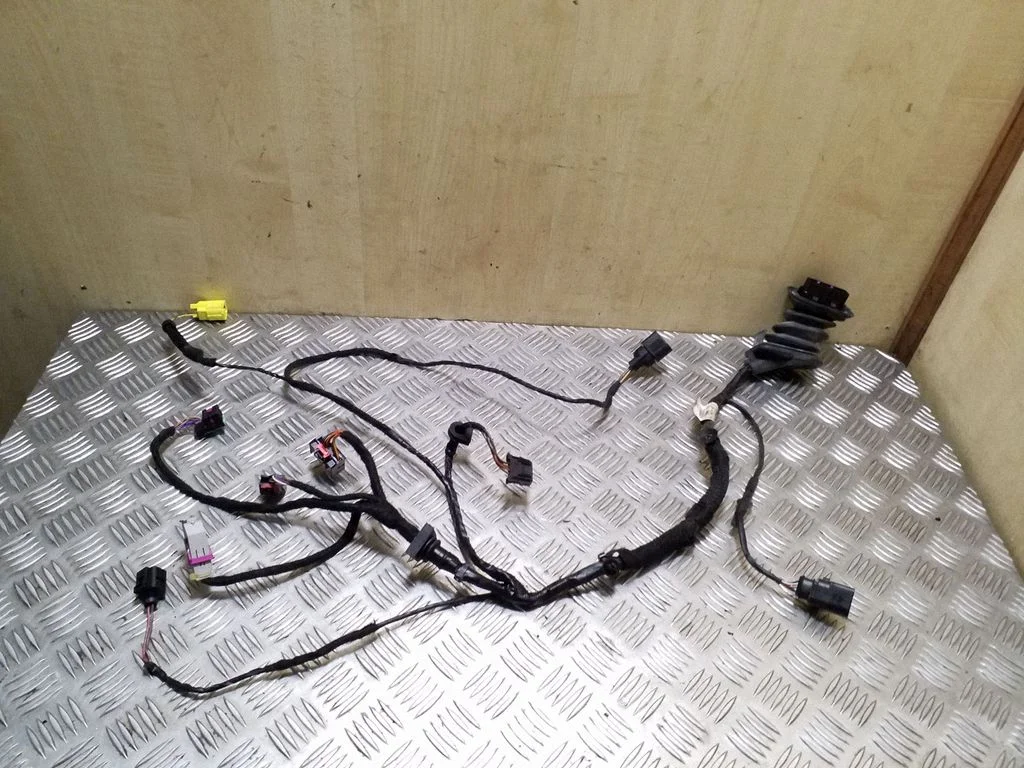 Front door wiring loom 1P2971120F