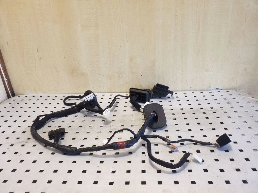 Priekšējo durvju vadu instalācija 916003Z180