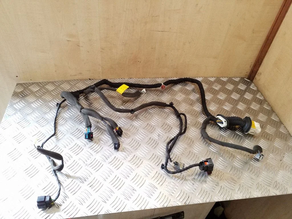 Front door wiring loom 20980115