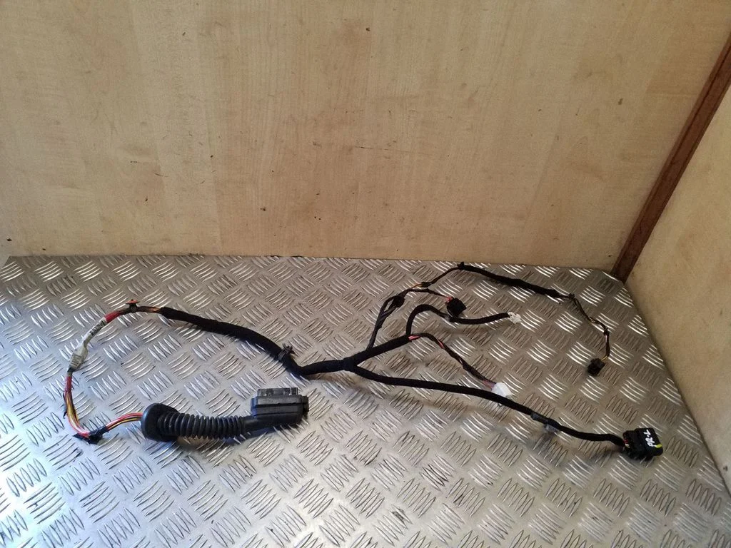 Front door wiring loom 916102K301D