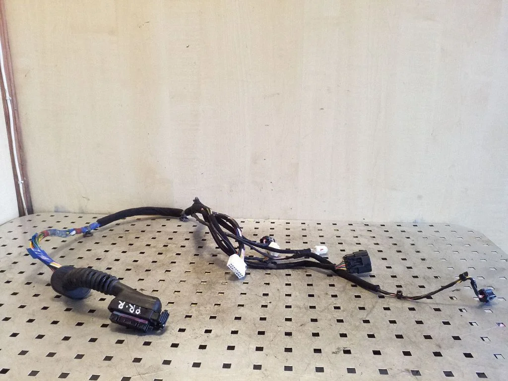 Front door wiring loom – right