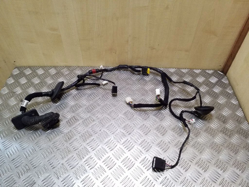 Front door wiring loom 916003Z180