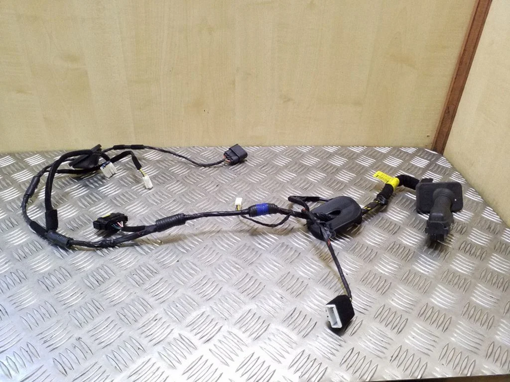 Front door wiring loom 916103Z100