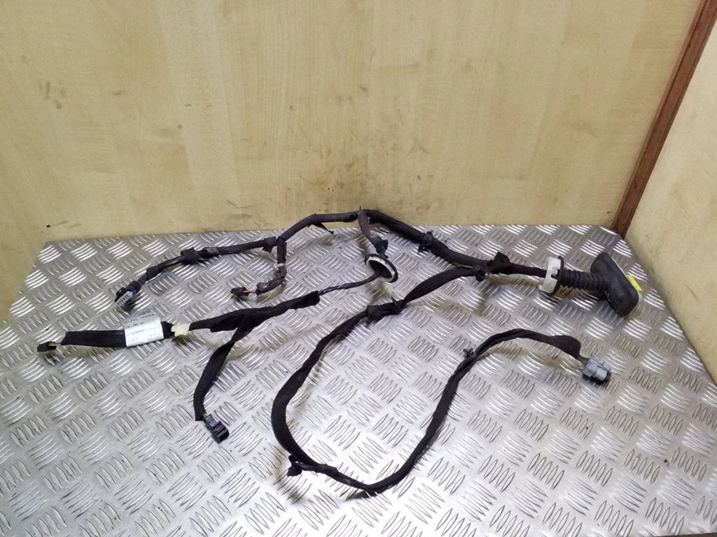 Priekšējo durvju vadu instalācija 9672304580