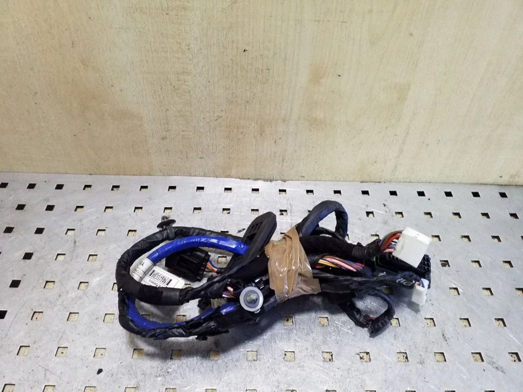 Front door wiring loom 916103U020