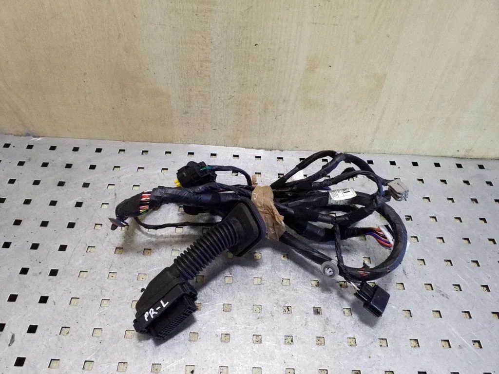 Front door wiring loom 916003U020