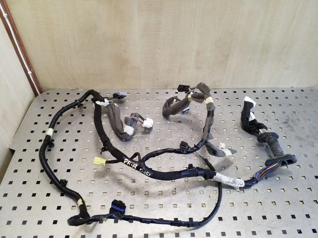 Front door wiring loom 241247627R