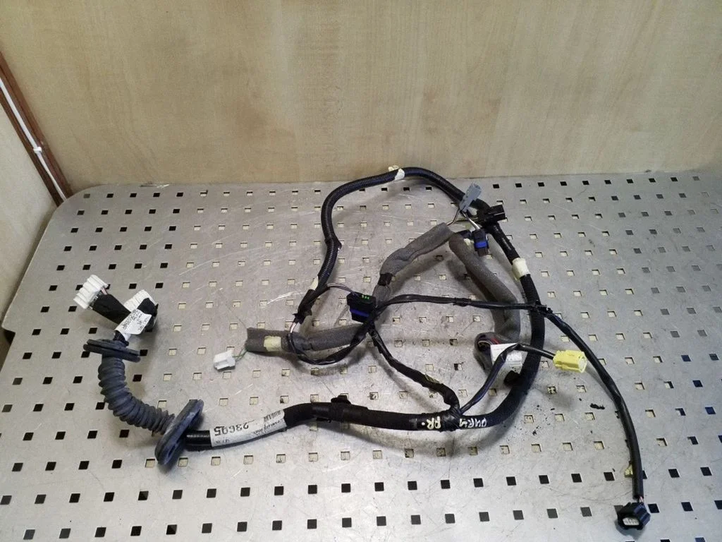 Front door wiring loom 241251894R