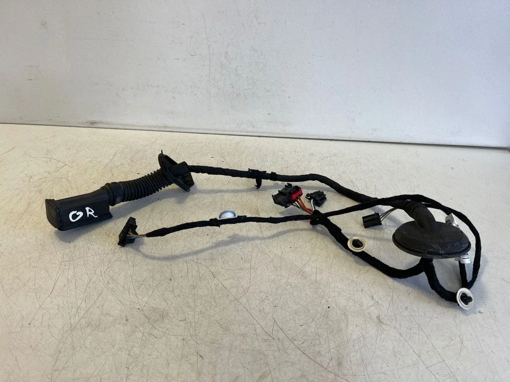 Rear door wiring loom – Cupra Formentor (2020-)