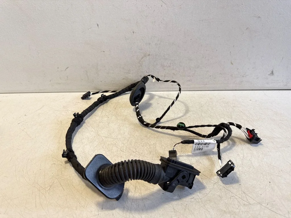 Tagaukse juhtmestik 2GA971693K