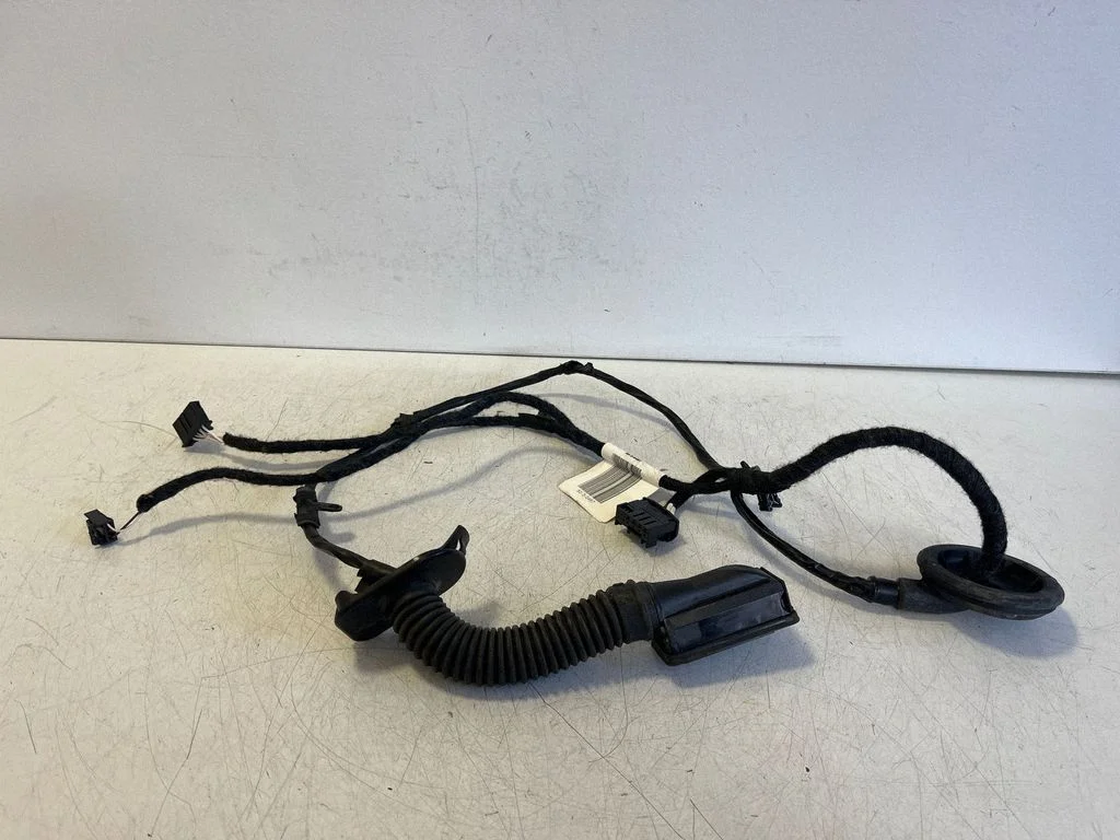 Tagaukse juhtmestik TAB051062J