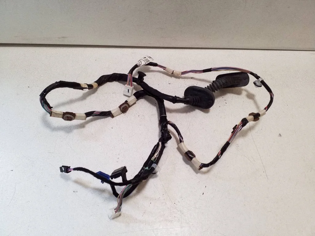 Rear door wiring loom 8215402F80F