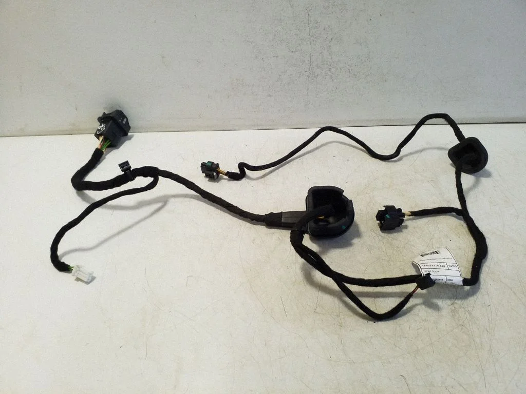 Aizmugurējo durvju vadu instalācija 00520018230