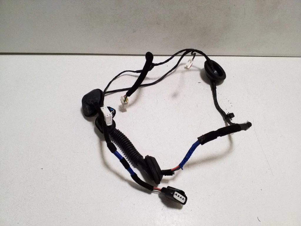 Tagaukse juhtmestik 91660B2051